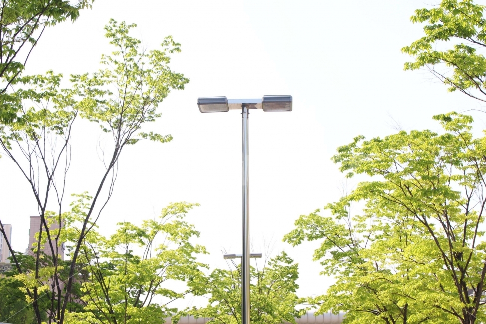 나무,잎,나뭇잎,하늘,자연,야외,나들이,소풍,봄,햇살,햇빛,가지,가로등,전등,자연,풍경,nature,landscape,lamp post,램프 포스트