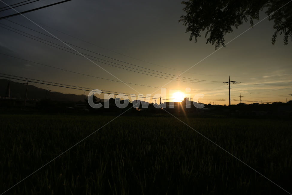 일출,도시,아침,일상,풍경,태양,자연,풍경,nature,landscape,실루엣,그림자,silhouette,shadow