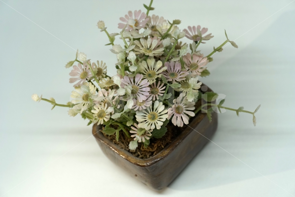 누끼,사물,화분,장식품,꽃,식물,플라워,자연,소품,식물,자연,plants,nature,꽃,flower,누끼,remove background
