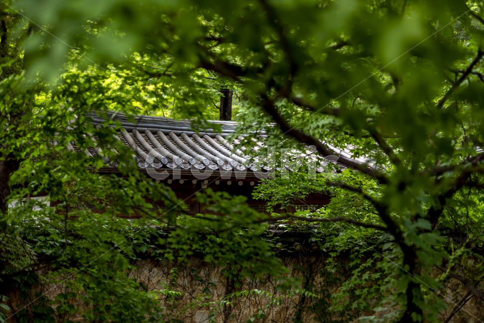 길상사,한옥,지붕,사찰,불교,종교,숲속