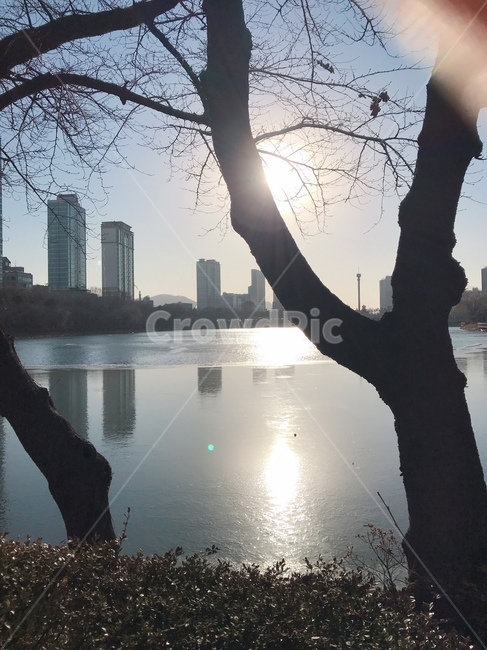 겨울호수,석촌호수,겨울석촌호수,일몰,겨울나무