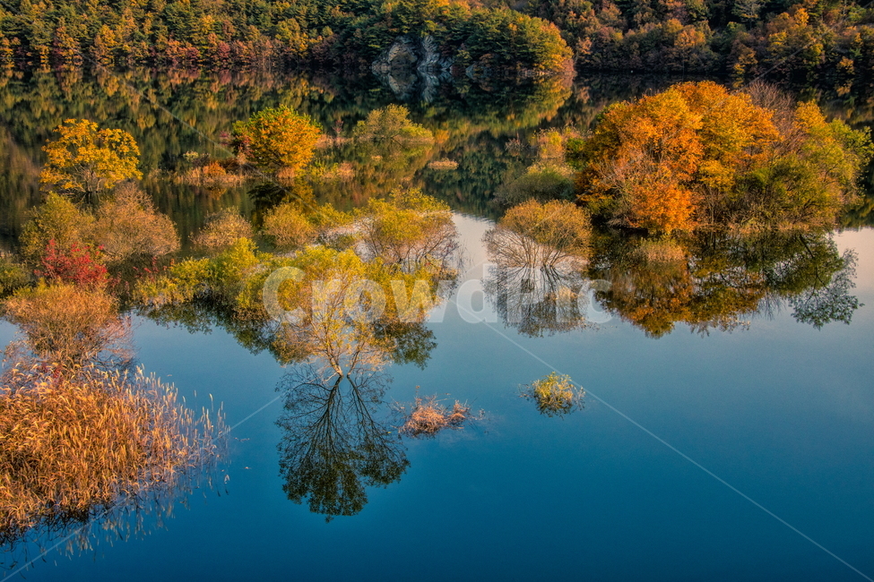 가을풍경,가을,반영,자연,nature,용담호,tree,plant,가을,계절,fall,autumn,season,자연,풍경,nature,landscape,한국자연풍경,한국자연경관,korea nature landscape