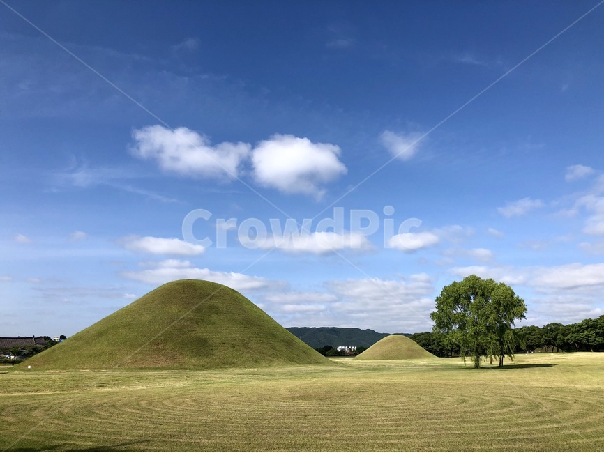 구름,하늘,능,경주,나무,자연,풍경,nature,landscape,식물,plants,나무,trees,wood,outdoors,옥외,grassland,목초지,field,들