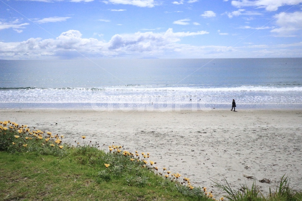 해변,beach,stunning,peaceful,평화로운,산책,모래사장,꽃,sandy,sand,quiet,cloud,아름다운,자연,풍경,nature,landscape,해변,바다,beach,sea