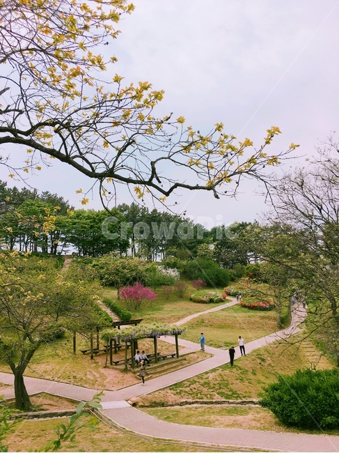 강화도,광성보,강화광성보,유적지,등나무,자연,풍경,nature,landscape,outdoors,옥외,garden,정원
