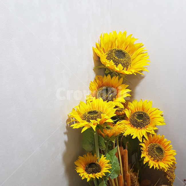 해바라기,인조,노란색,꽃,분위기