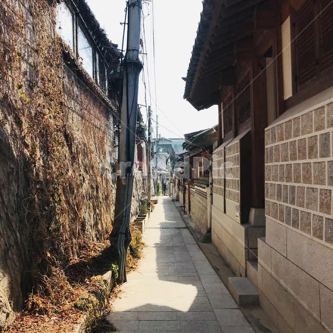 대한민국,서울,북촌,한옥마을,골목,길,낯,그림자,햇살,골목길,alley,한국전통,한국문화,korean traditional,korean culture,건축물,건물외관,exterior,building,structure,architecture,construction,walkway,보도,path,통로,road,도로,urban,어반,town,도시,city,시티,street,거리,건물,flagstone,판석,sidewalk,pavement,포장