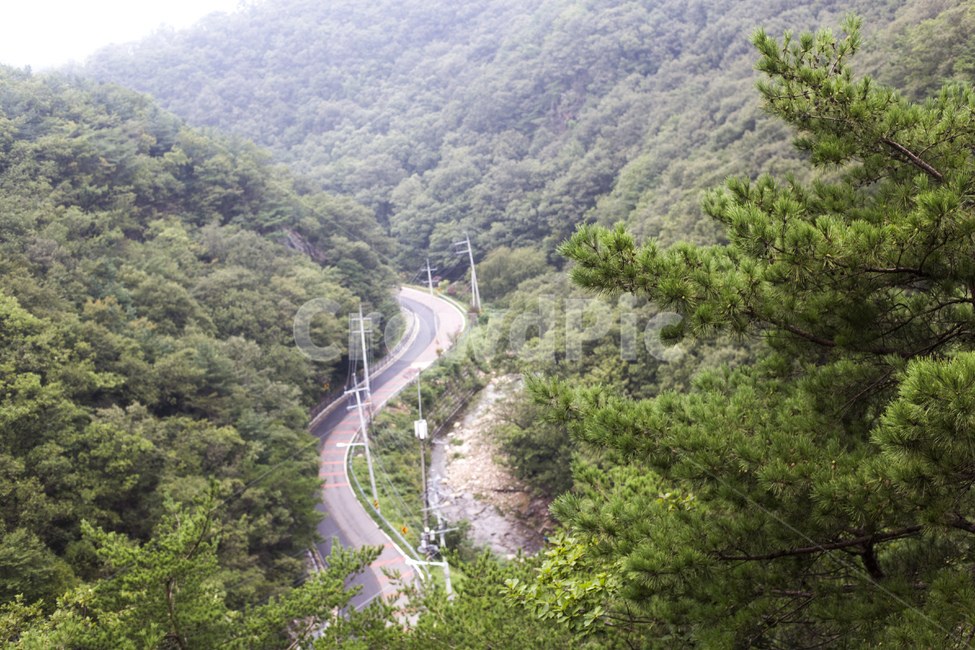 산,산속,숲길,숲,도로,나무,풍경,자연,자연,풍경,nature,landscape,outdoors,옥외,경치,scenery