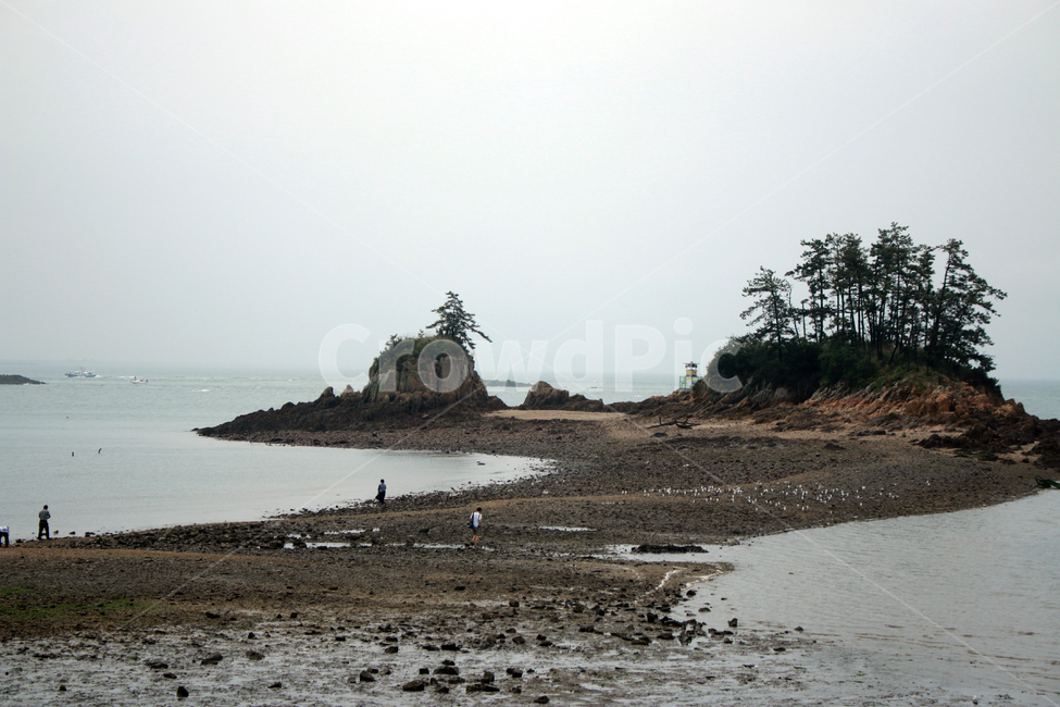 nature,옥외,ocean,대양,shoreline,자연,land,해안선,sea,coast,water,outdoors,물,연안,군산,선유도,바다,모래,자갈,섬,island,gunsan,해안,바닷물,관광,바닷길