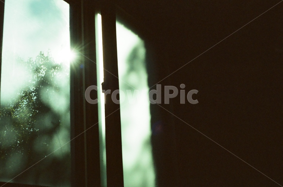 flare,플레어,light,빛,green,녹색,창문,sunshin,window,감성,sensible,feeling