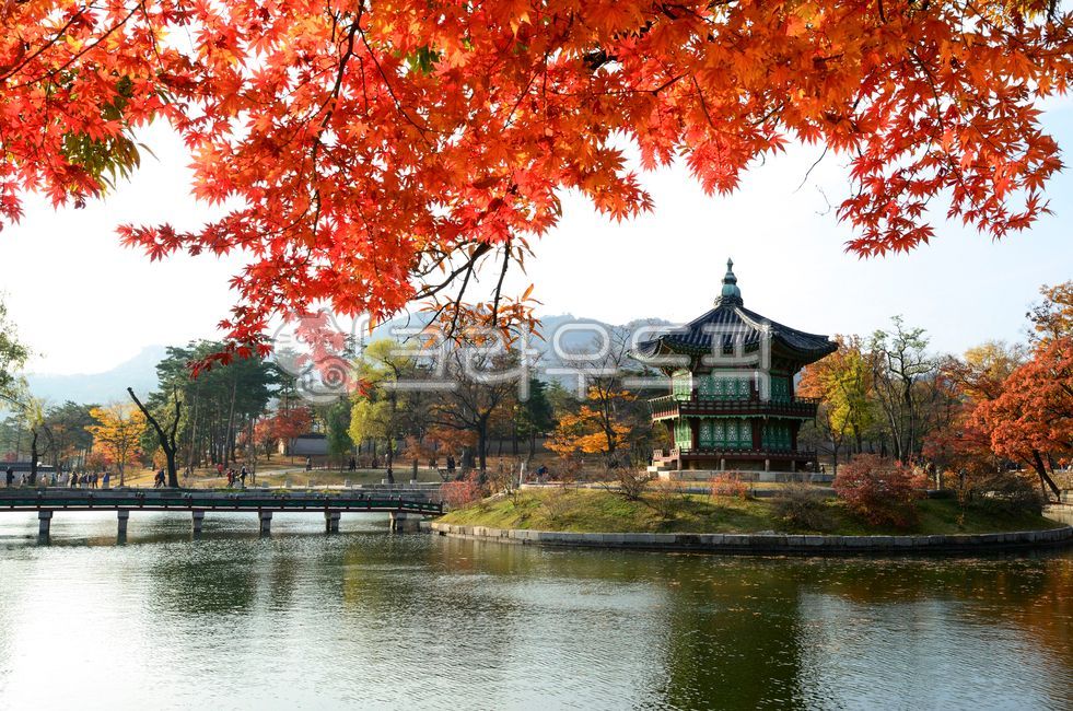 경복궁, 향원정, 가을, 단풍, 단풍잎, 사진,이미지,일러스트,캘리그라피 - 대송작가