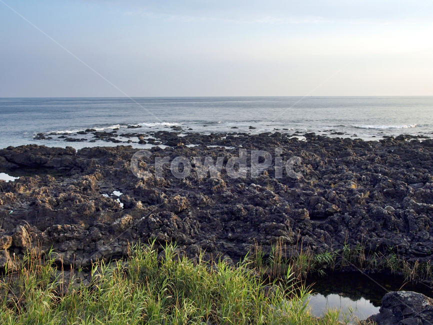 논짓물해변,바다,올레8코스,올레길,제주,서귀포시,자연,풍경,nature,landscape,제주도,jeju,jeju island,outdoors,옥외,land,땅,plant,식물