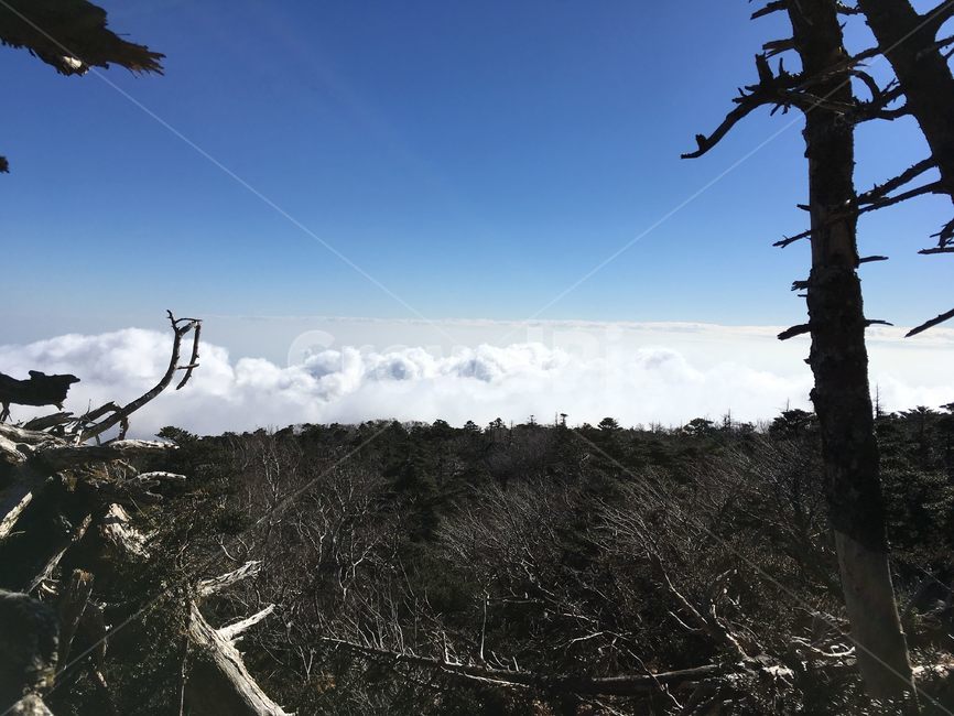 제주도,한라산,하늘,구름,배경,jeju,mountain,sky,cloud,background,자연,풍경,nature,landscape
