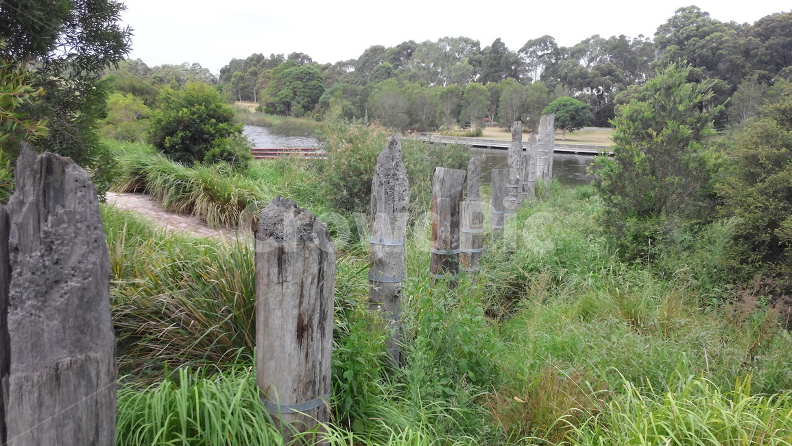 호주,시드니,시드니파크,호수,숲,나무,sydneypark,sydney,자연,풍경,nature,landscape,해외,외국,세계,foreign,oversea,world,세계자연풍경,해외자연풍경,외국자연풍경,world nature landscape