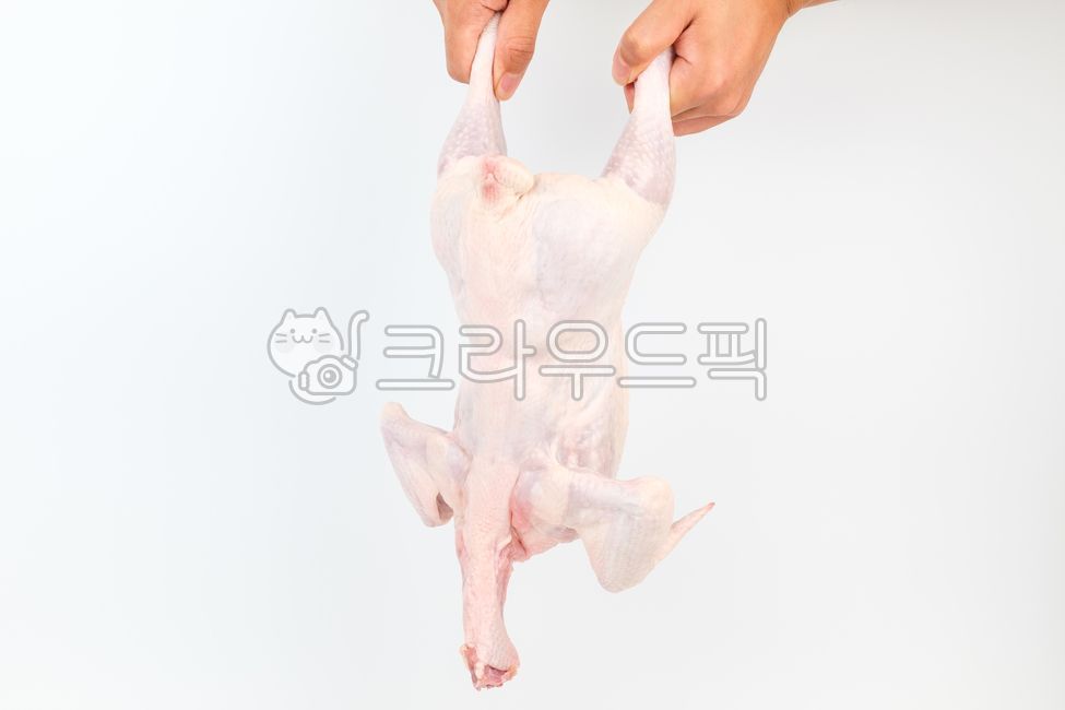 chicken,ingredient,fishy smell,raw,raw chicken,carcass meat,food,slippery,meal,White,uncooked,meat,grocery,Food Ingredients,lean meat,ingredients,chicken skin,fresh