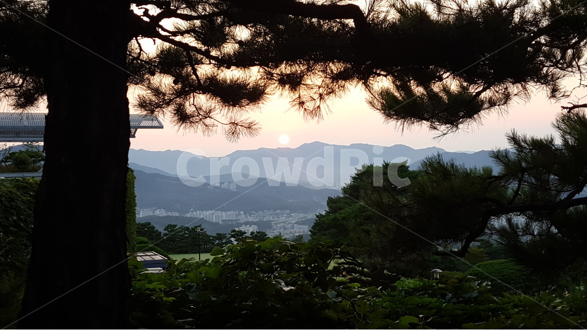 풍경,나무,구름,안개,산,자연,풍경,nature,landscape,한국자연풍경,한국자연경관,korea nature landscape,식물,plants,나무,trees,wood
