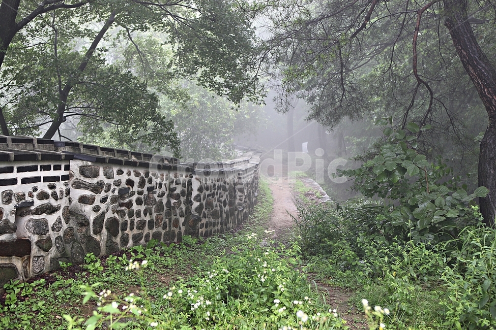 남한산성,성,성곽,길,둘레길,숲,숲길,벽,안개,돌담,담,여름,풍경