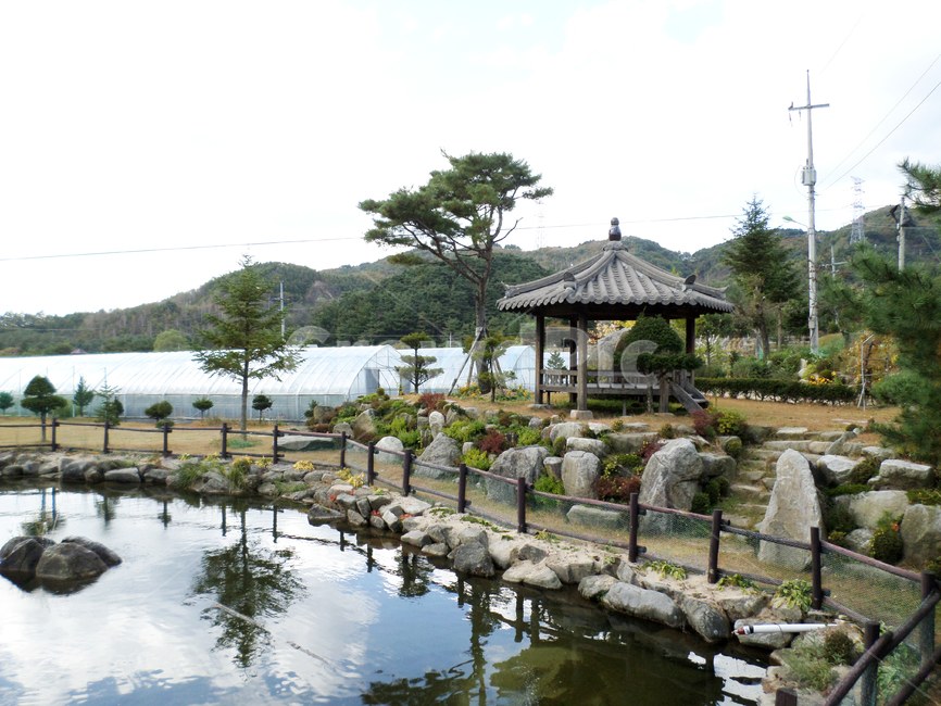 강원도,횡성,연못,정자,풍경,비닐하우스,pond,pavilion
