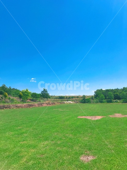들,옥외,식물,잔디,하늘,plant,field,outdoors,grass,sky