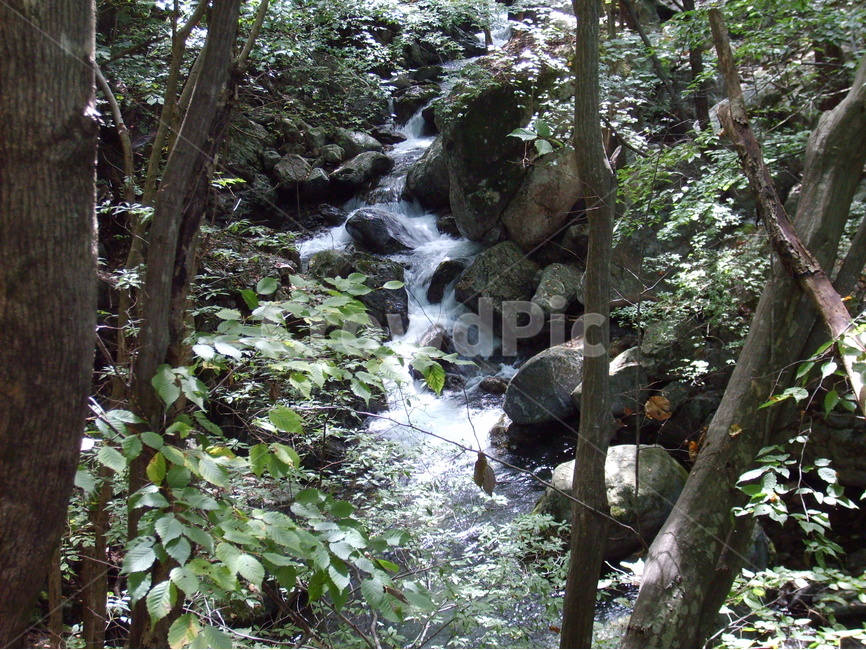 자연,등산,물,나무,초록,자연,풍경,nature,landscape,water,outdoors,옥외,stream,흐름,creek,작은 만