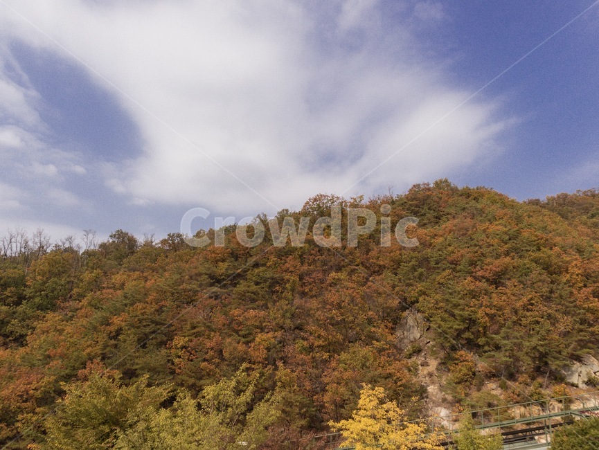 하늘,나무,산,자연,풍경,가을,landscape,nature,outdoors,단풍,가을,계절,fall,autumn,season,자연,풍경,nature,landscape,옥외