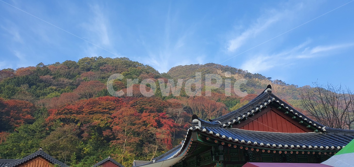 산,100대명산,단풍,백양사,나무,가을산,자연,푸른,하늘,백암산,바위,등산,구름,nature,outdoors,옥외,mountainrange,mountain,지붕,기와집,temple,가을,계절,fall,autumn,season,building,건물,architecture,건축물,신전,roof,shrine,신사,pagoda,탑,worship,예배