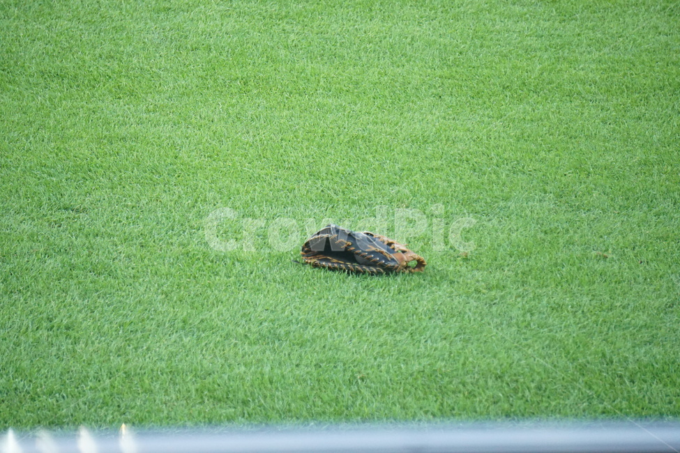 baseball,야구,sports,스포츠,단체경기,teamsport,야구장,glove,글러브,야구글러브,ground,잔디,스포츠,레저,운동,sports,leisure,exercise