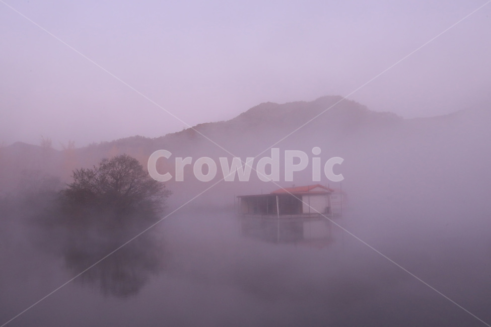 안개,새벽,나무,산,물,자연,풍경,nature,landscape