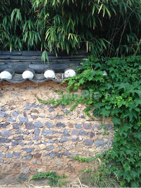 한옥,대나무,담장,기와,덩굴,한국전통,한국문화,korean traditional,korean culture,건축물,건물외관,exterior,building,structure,architecture,construction