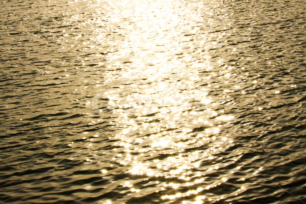 파도,바다,물결,금빛,해질녘,노을,ocean,sea,wave,golden,sunset,nature,자연,풍경,nature,landscape