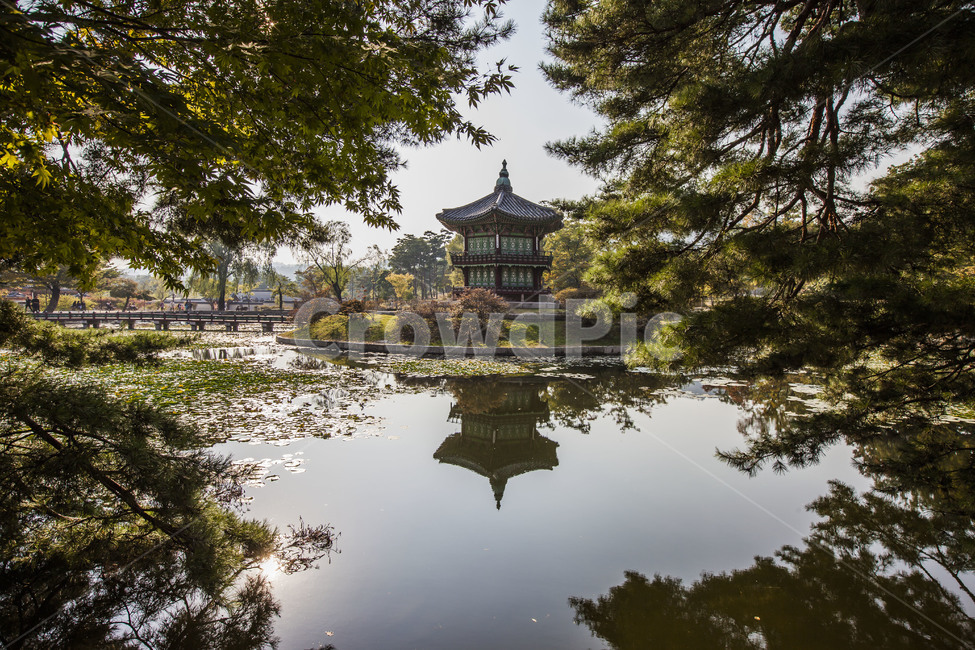풍경,반영,봄,연못,공원,관광지,향원정,목조구름다리,문화유산,문화재,한국전통,한국문화,korean traditional,korean culture,랜드마크,landmark,tourist attraction,한국랜드마크,한국관광지,한국명소,korea landmark,korea tourist attraction