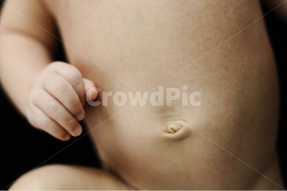 신생아,신생아배,아기배,아이배,배꼽,신생아배꼽,아기배꼽,사람,인물,인간,human,person,신체일부,몸,body,영유아,아기,애기,아이,infants,baby
