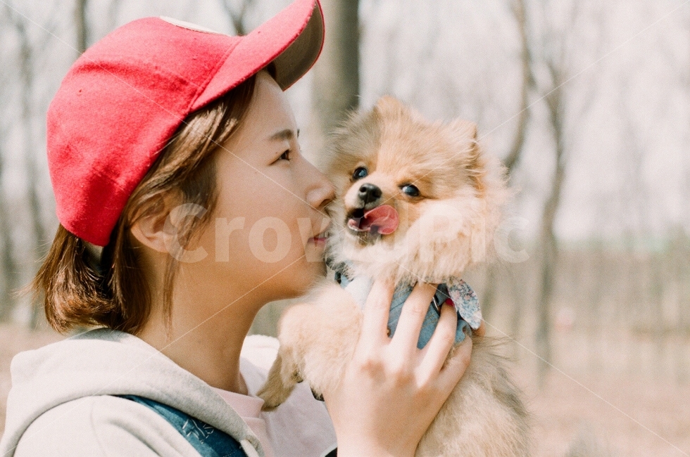 반려견,토르,강아지,가족사진,반려견동반사진,포메라니안,동물,강아지사랑,인물사진,감성사진,산책,필름사진,사랑해,따뜻한사진,dog,lovedog,pomeranian,zoo,personal,sensitive,love,warm,filmphoto,film,family,동물,animal,포유류,mammal,개,강아지,dog,doggy,사람,인물,인간,human,person,얼굴표정,facial expression,face,여성,여자,woman,female,lady,가족,패밀리,family,감정표현,기분,feeling,emotion,연출,컨셉,콘셉,direction,concept
