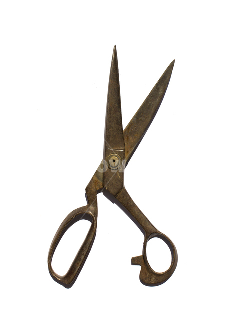 scissors,가위,도구,문구류,금속,문구,black,blade,clippers,closeup,topview,cut,cutter,handle,metal,nobody,object,pair,sharp,single,steel,tailor,tool,낡은,오래된,old,빈티지사진,빈티지느낌,빈티지감성,vintage,사물,물건,오브젝트,thing,object,matter,학용품,문구류,사무용품,school supplies,stationery,office supplies,누끼,remove background