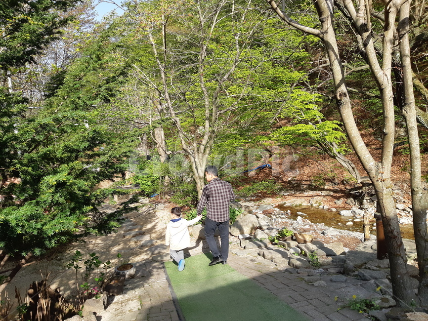 아빠,아들,인간,가족,사랑,경치