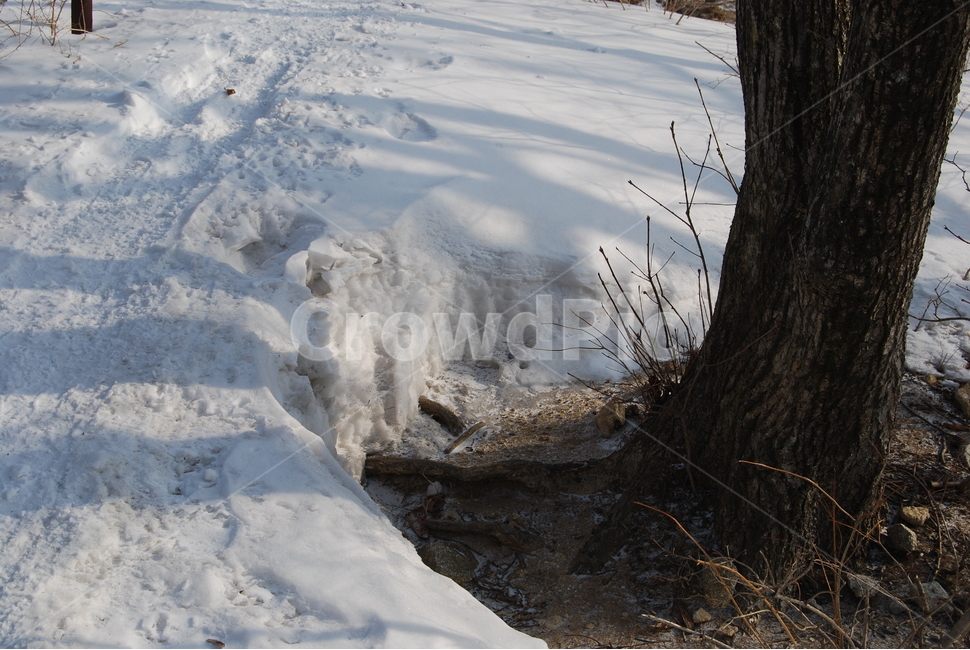 눈,snow,나무,tree,겨울,겨울,계절,winter,season,자연,풍경,nature,landscape,outdoors,옥외