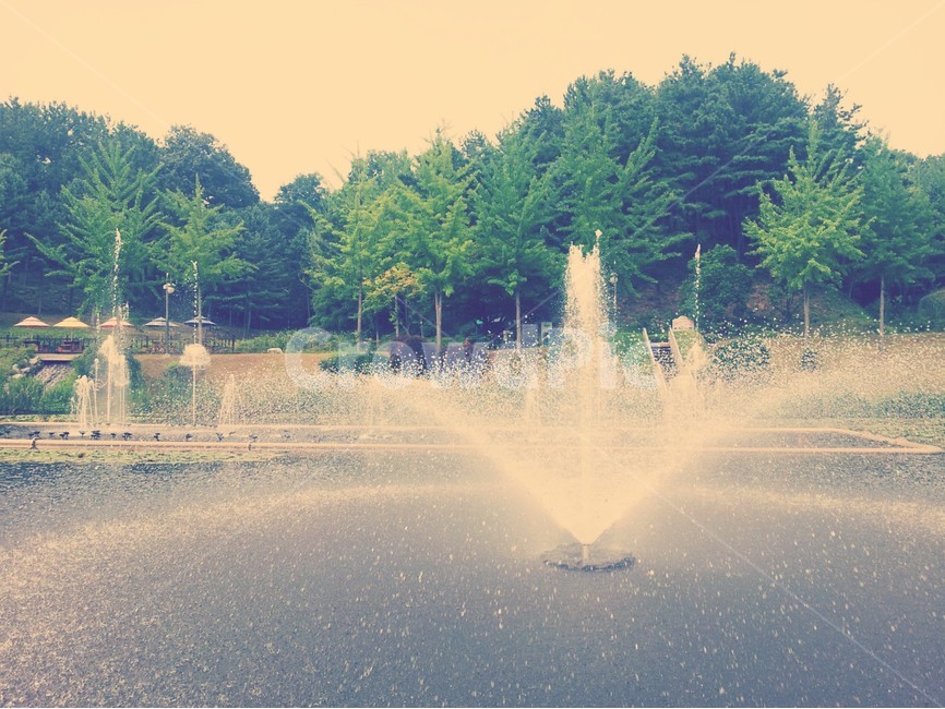 시원함,스프링쿨러,여름,자연,풍경,자연,풍경,nature,landscape,water,물