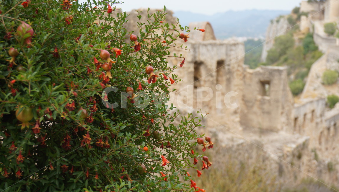 스페인,발렌시아,albufera,스페인풍경,발렌시아풍경,xativa,캐슬,유적,성,castle