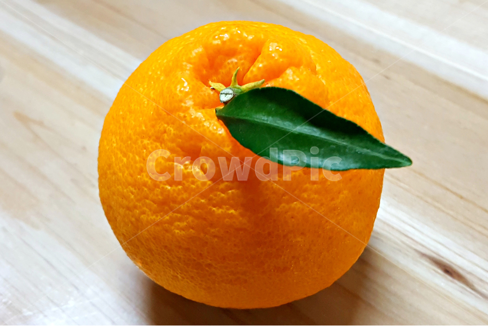 한라봉,과일,fruit,음식,food,식물,plant,감귤류과일,orange,주황색,citrusfruit