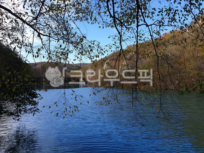 나무,자연풍경,호수,풍경,nature,자연,물,water,연못