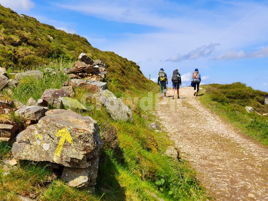 까미노,산티아고,순례자의길,피레네산맥,노란화살표,camino,santiago,caminodesantiago,pilgrim,pyrenees,mountainrange,yellowarrowsign