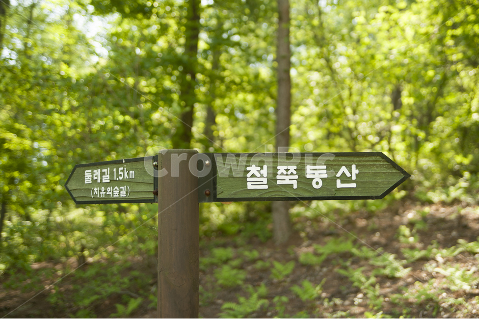 장흥자생수목원,이정표,방향,숲,나무,초봄,풍경,낮,초록,자연