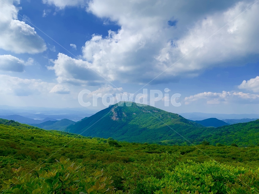 산,mountain,산정상,나무,하늘,구름,꼭대기