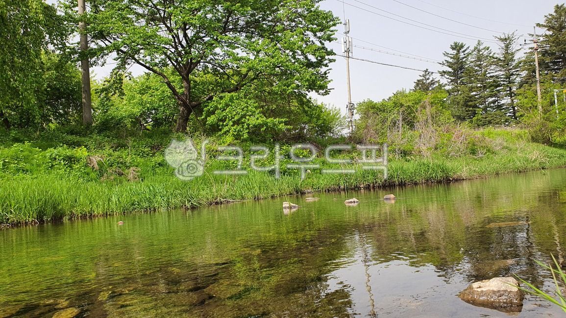 water, outdoors, nature, human, person, 사진,이미지,일러스트,캘리그라피 - 망고몽고작가