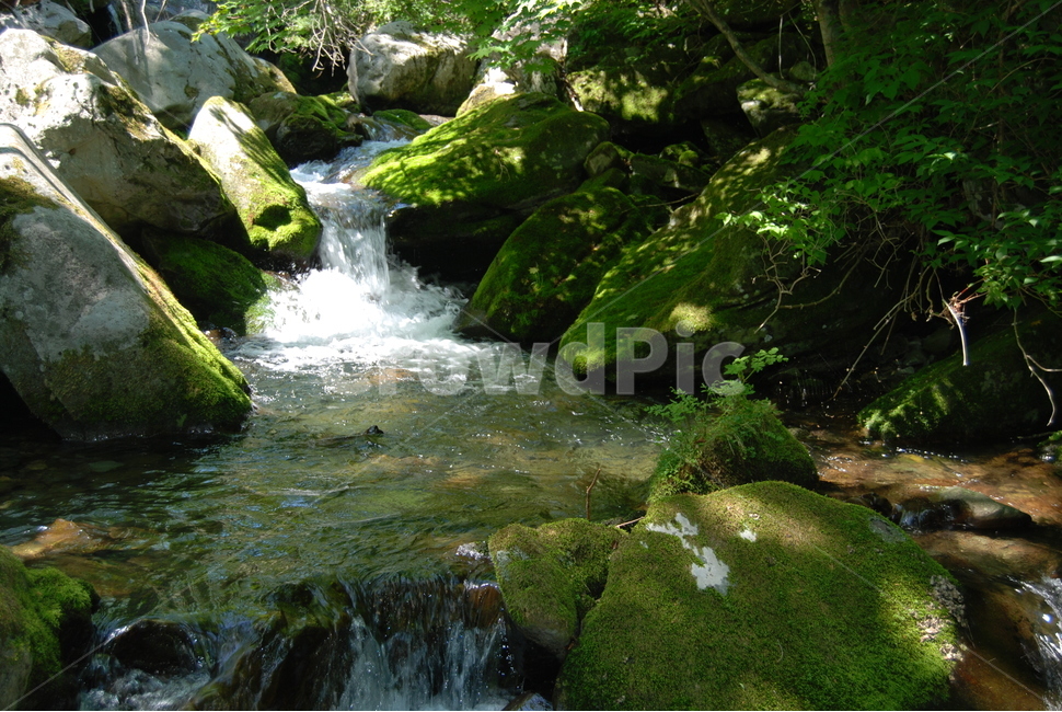 가리왕산,물,돌,자연,휴양지,자연,풍경,nature,landscape,water,outdoors,옥외,stream,흐름,creek,작은 만