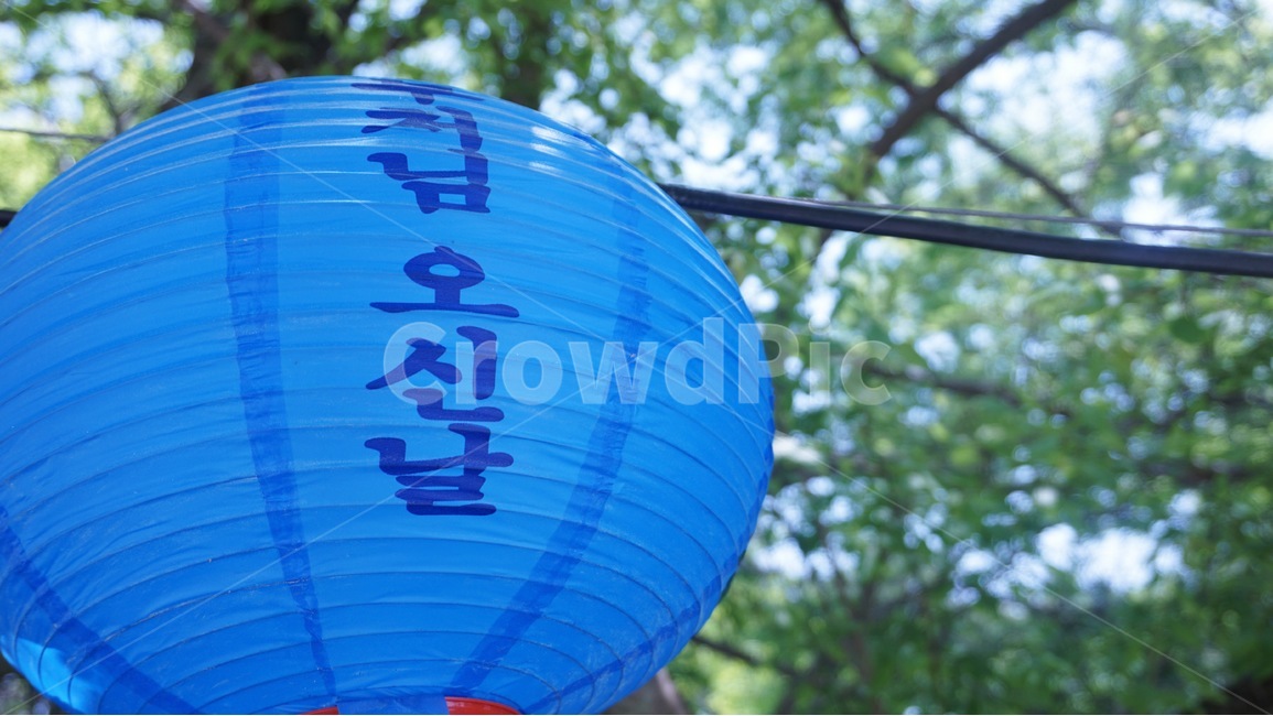 연등,절,경주,불국사,석가탄신일,한국,파란색,푸른,부처님,연등축제,lotus,부처님오신날,사찰,한국역사,통일신라,unifiedsilla,대한민국,korea,republicofkorea,buddhasbirthday,bulguksa,한국전통,한국문화,korean traditional,korean culture,종교,신앙,religion,belief,faith,축제,행사,festival,carnival,event,기념일,축하,anniversary,congratulation,celebrate,celebration