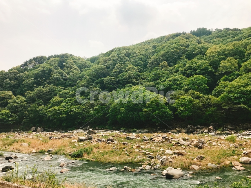 plant,식물,outdoors,nature,자연,land,땅,tree,나무,water,물,mountain,산