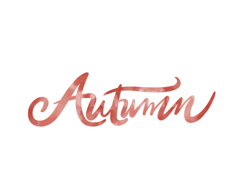 가을,캘리그라피,fall,autumn,영어필기체,영문캘리그라피,가을,계절,fall,autumn,season,그래픽,일러스트레이션,graphic,illustration,캘리그라피,손글씨,calligraphy