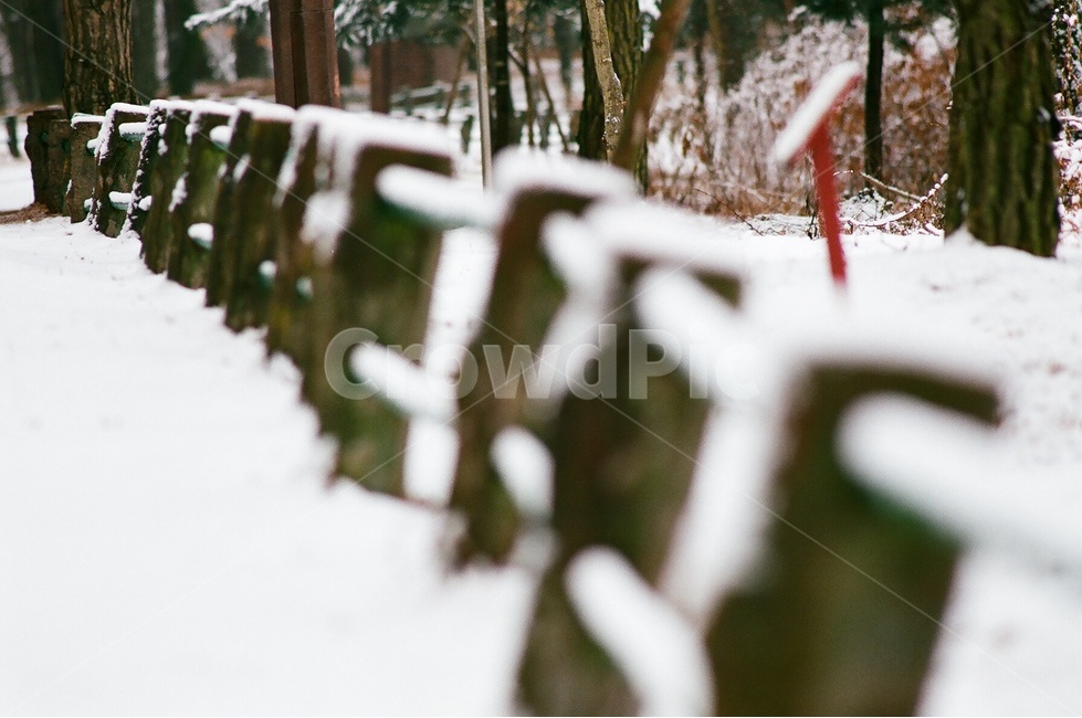 길,난간,자연,풍경,나무,눈,nature,landscape,snow,겨울,계절,winter,season