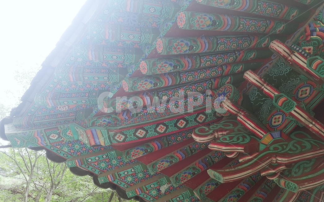 한옥,사찰,지붕,절,처마,부산,한국전통,한국문화,korean traditional,korean culture,건축물,건물외관,exterior,building,structure,architecture,construction